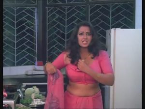 Actress Srioradha (Sdripada) very very hot boob and self blouse torn for rape Fake Boobs, NudeDesiActress.pics
