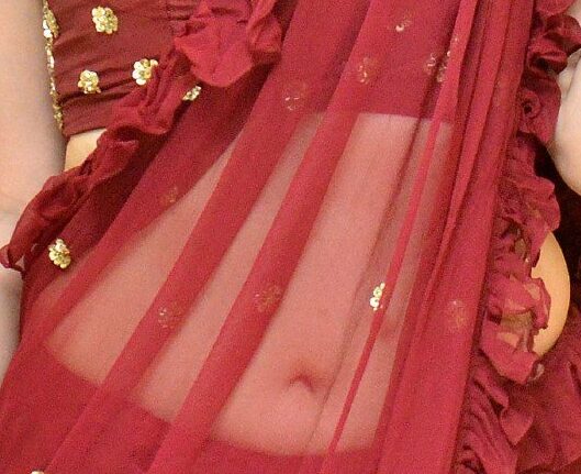 Diksha Panth nude navel see though in transparent saree naked white hip