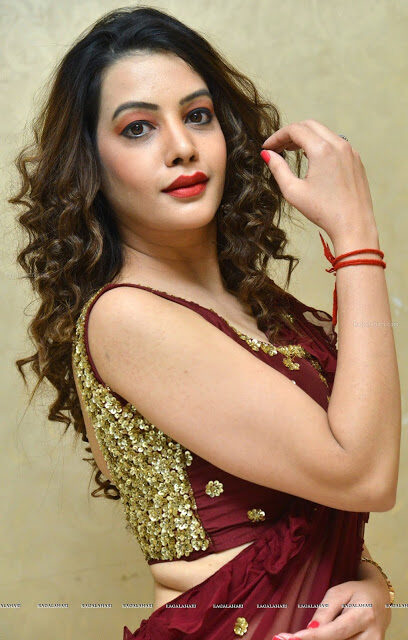Diksha Panth sexy nude hand for perfect handjob in sleeveless blouse xxx, NudeDesiActress.pics