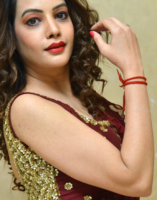 Diksha Panth sexy nude hand for perfect handjob in sleeveless blouse xxx