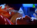 Madhuri dixit hot romance with akshay Kumar | madhuri dixit sexy navel | madhuri dixit  hot navel, NudeDesiActress.pics